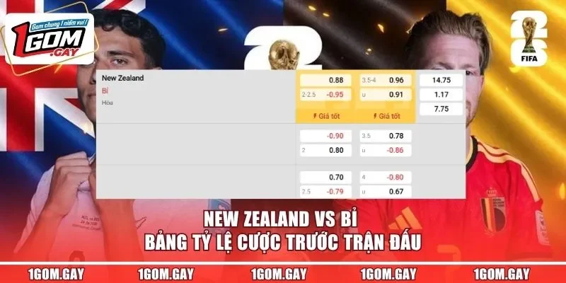 New Zealand vs Bỉ - bảng tỷ lệ cược trước trận đấu